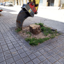Excavadora con accesorio para excavado de precisión, procediendo a retirada de un tocón.